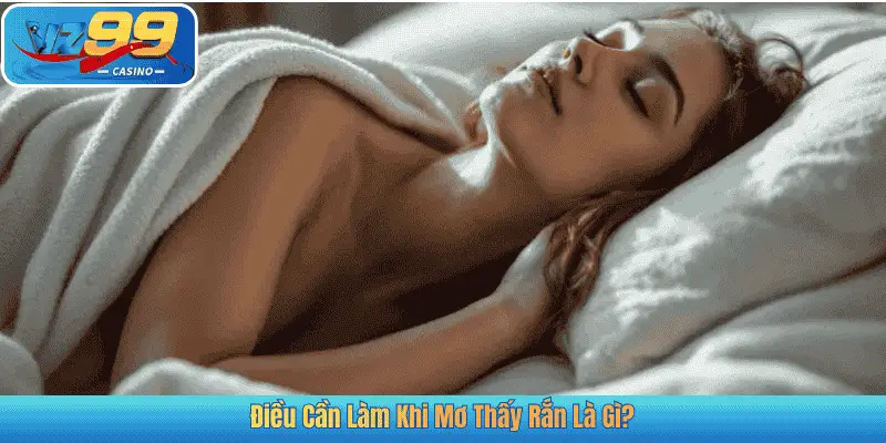 Điều Cần Làm Khi Mơ Thấy Rắn Là Gì?