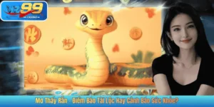 Mơ Thấy Rắn – Điềm Báo Tài Lộc Hay Cảnh Báo Sức Khỏe?